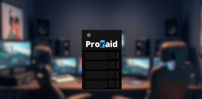 ProRAID 4-Bay