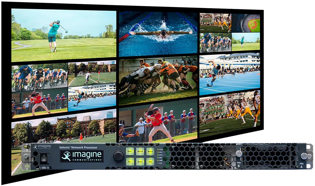 SNP Multiviewer